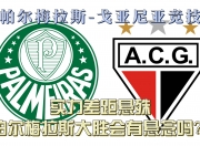 华体会平台-包含帕尔梅拉斯攻防火力全开，防守迎挑战的词条