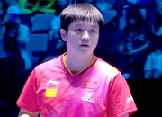 华体会全站-包含打疯了!乒超:樊振东狂轰3-0横扫日本名将单打12场全胜!的词条