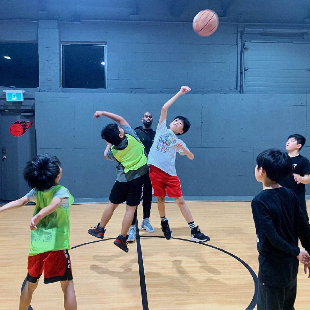 包含北美球队主教练因管理不善被解雇的词条